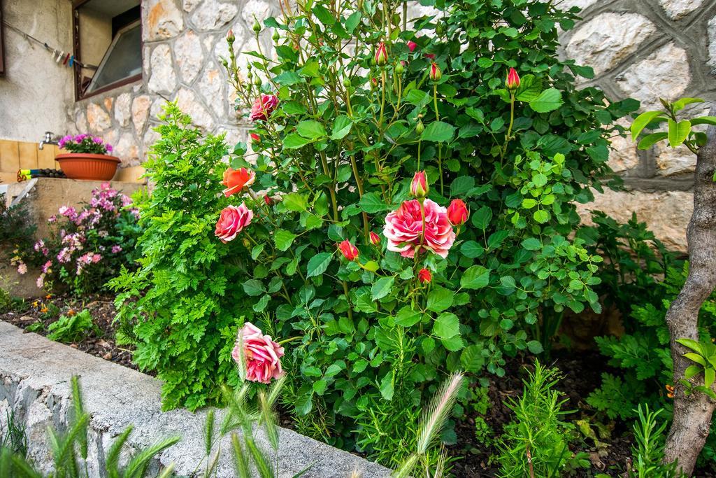 Diana Rooms And Apartments Starigrad Paklenica Bagian luar foto